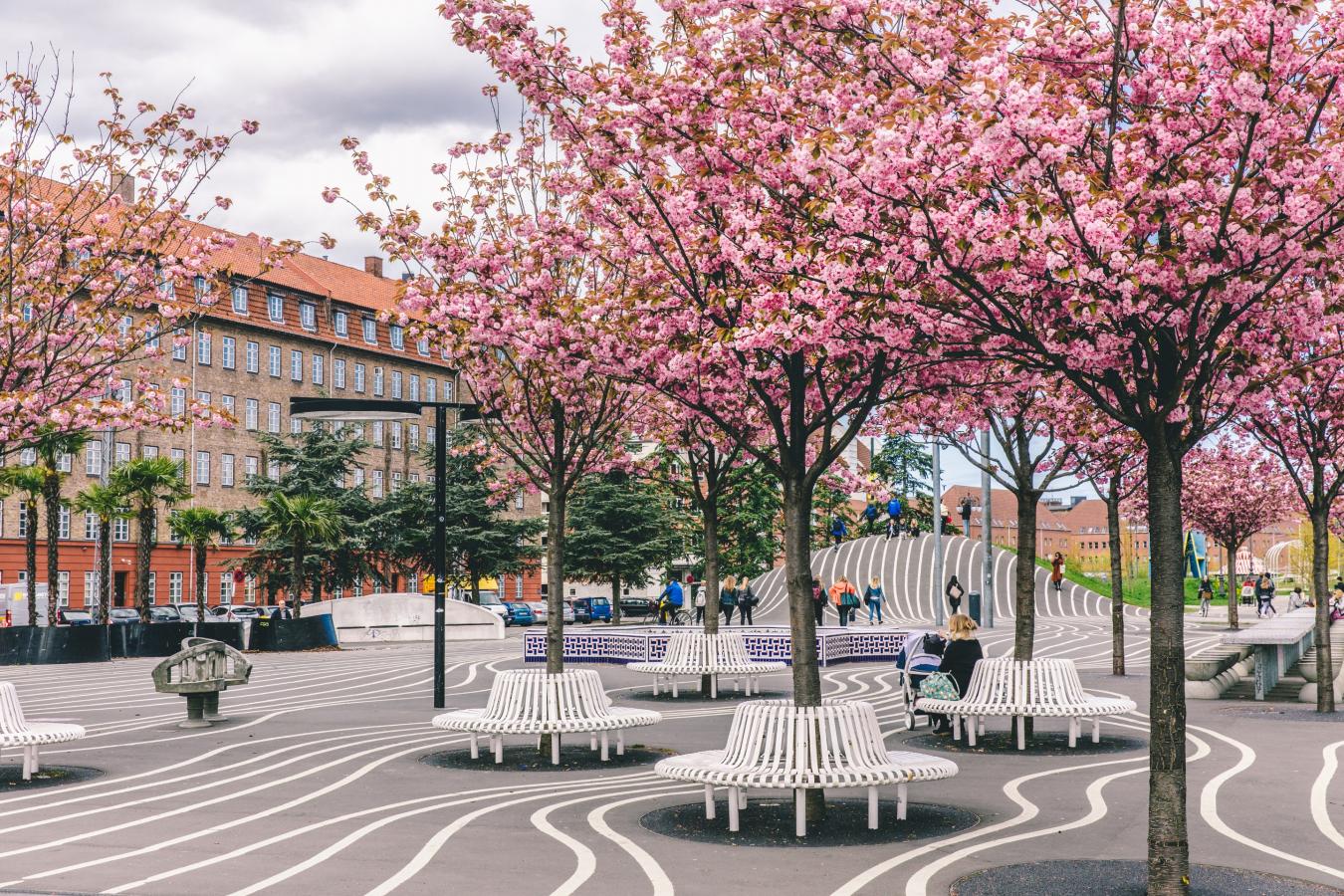 The Black Square in Superkilen Park in Nørrebro, Copenhagen.