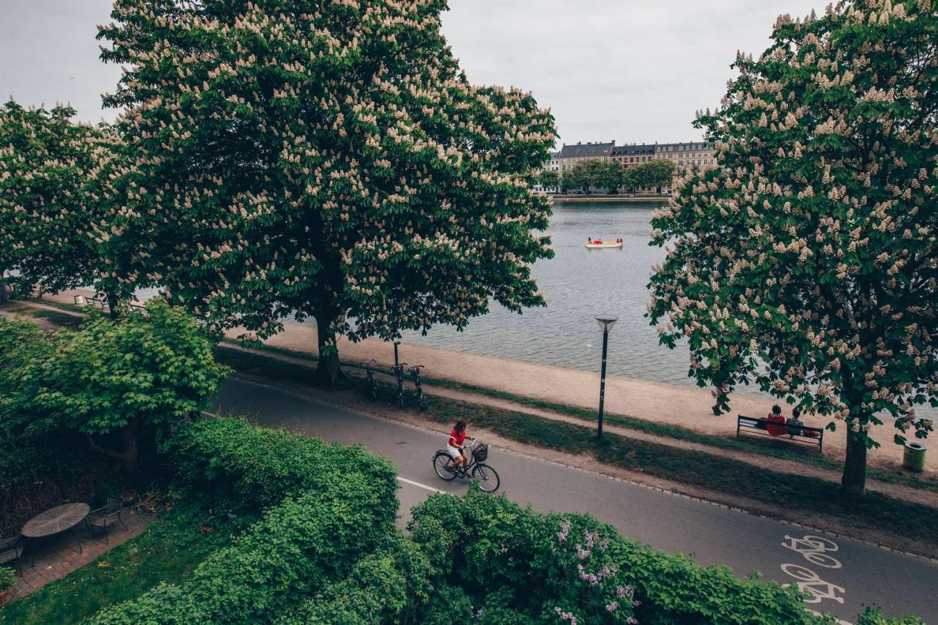 Biking by The Lakes in Copenhagen