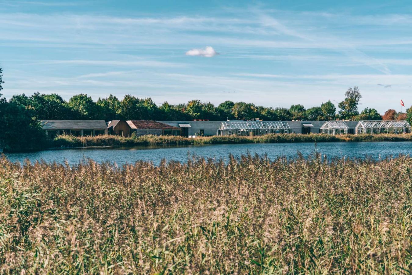 Restaurant noma in Copenhagen's Refshaleøen area