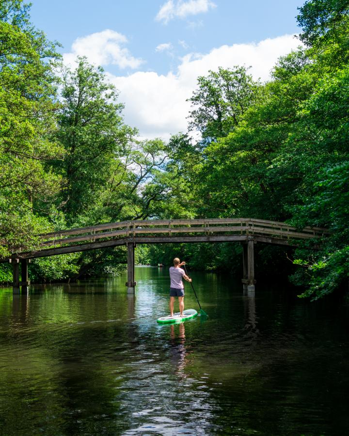 Stand Up Paddling north of Copenhagen