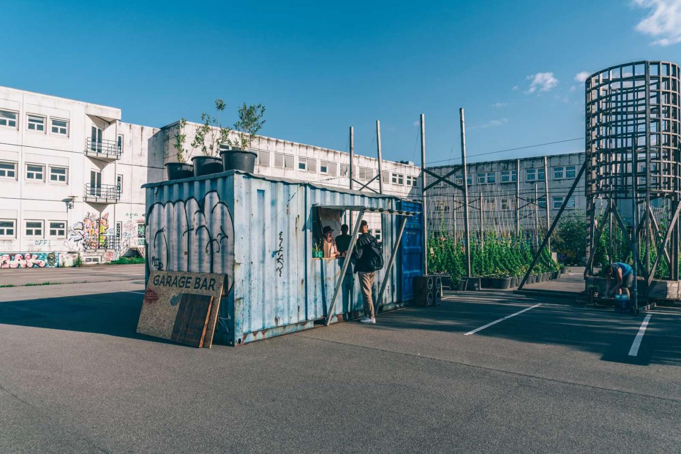 Local community hops farm in Copenhagen's Nordvest area