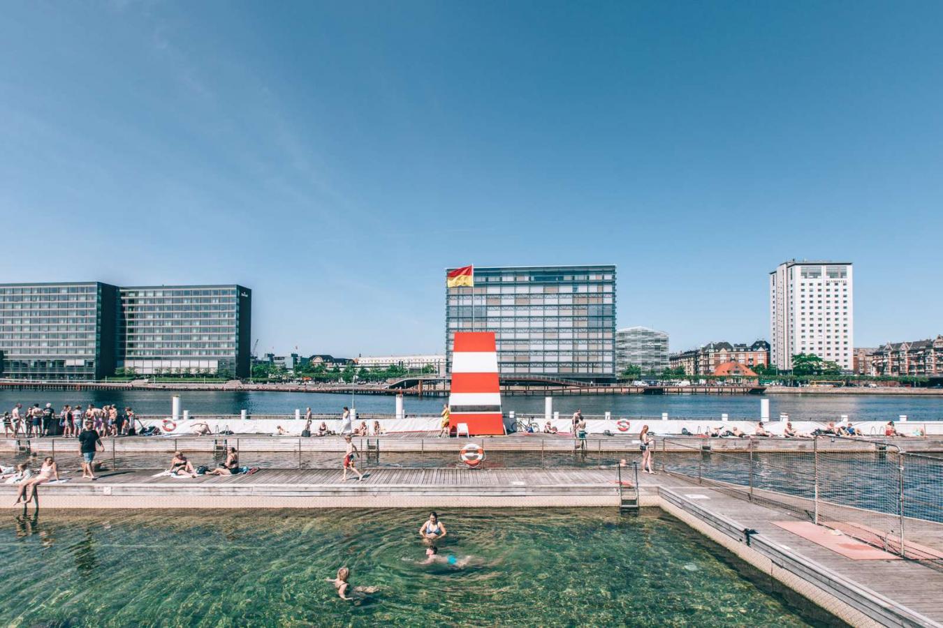 Swim in the harbour in the middle of Copenhagen