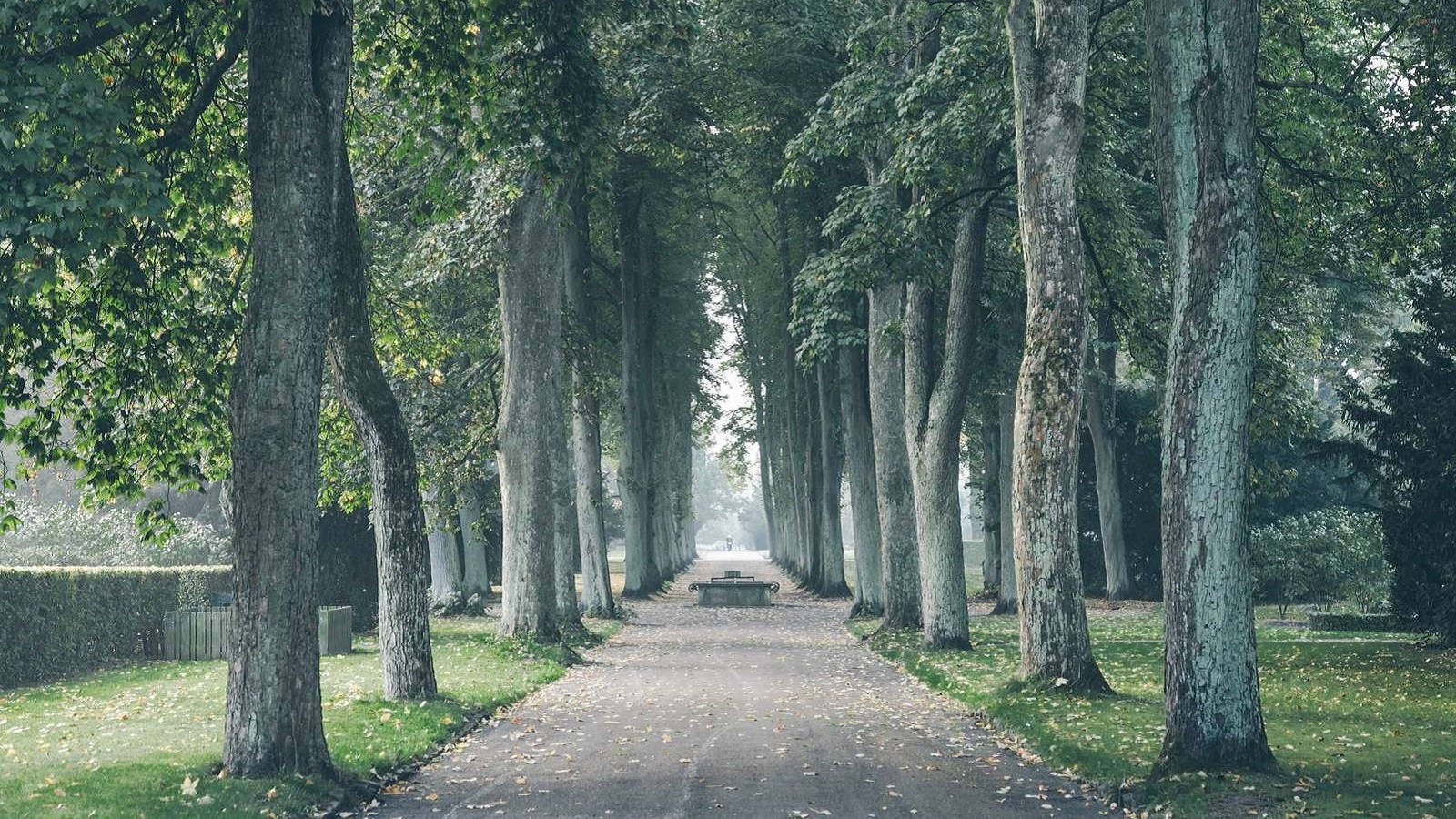 Vestre Cemetery | Thomas Høyrup Christensen