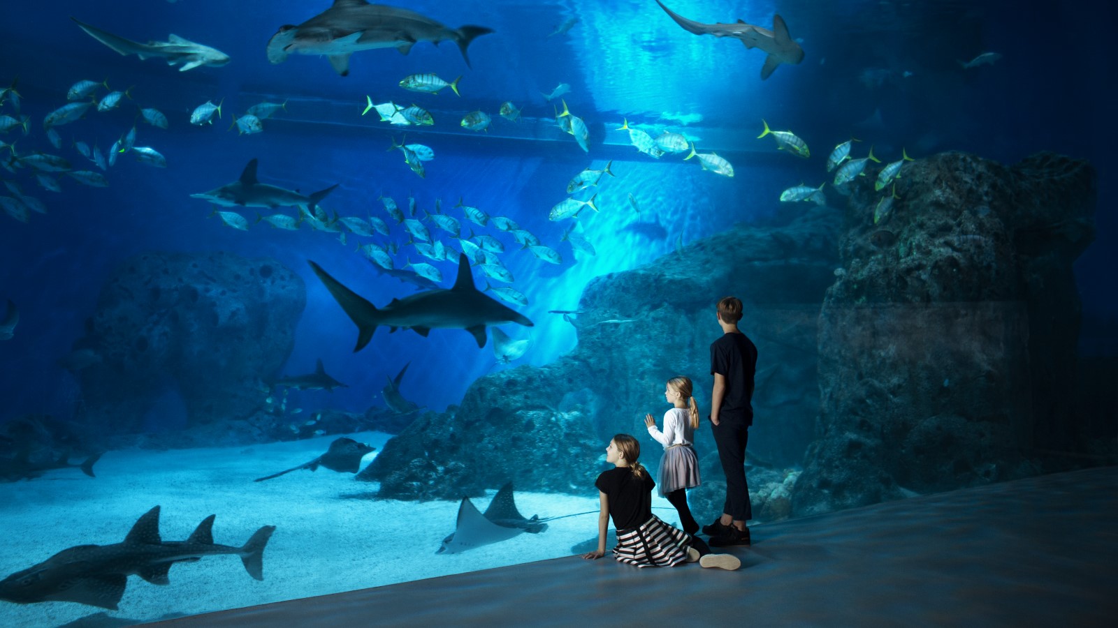 Den Blå Planet | Jens Bangsbo