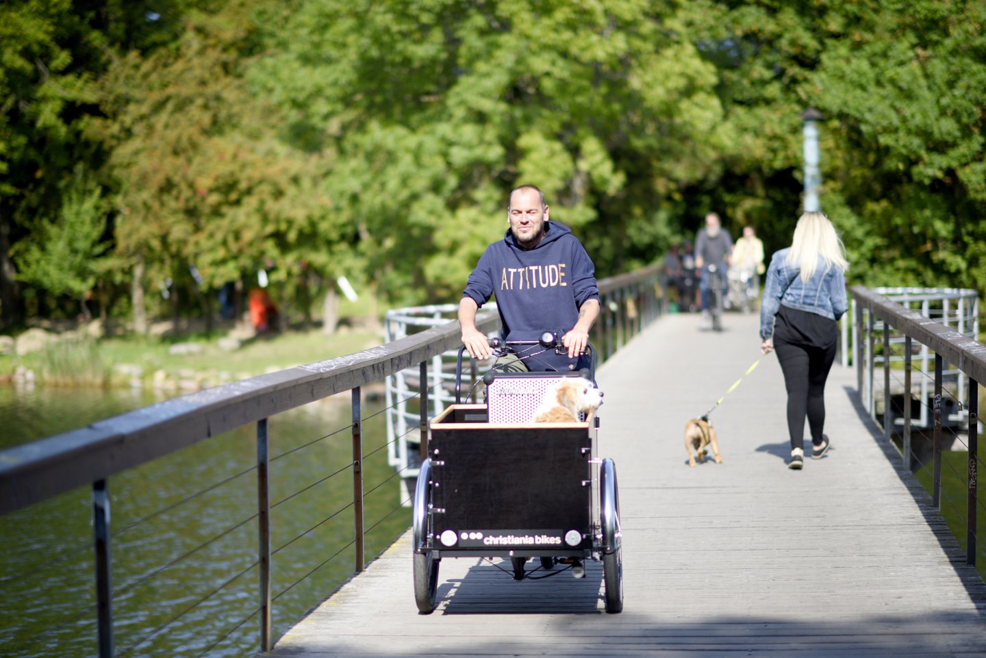 Chief1 cykler Amager tyndt