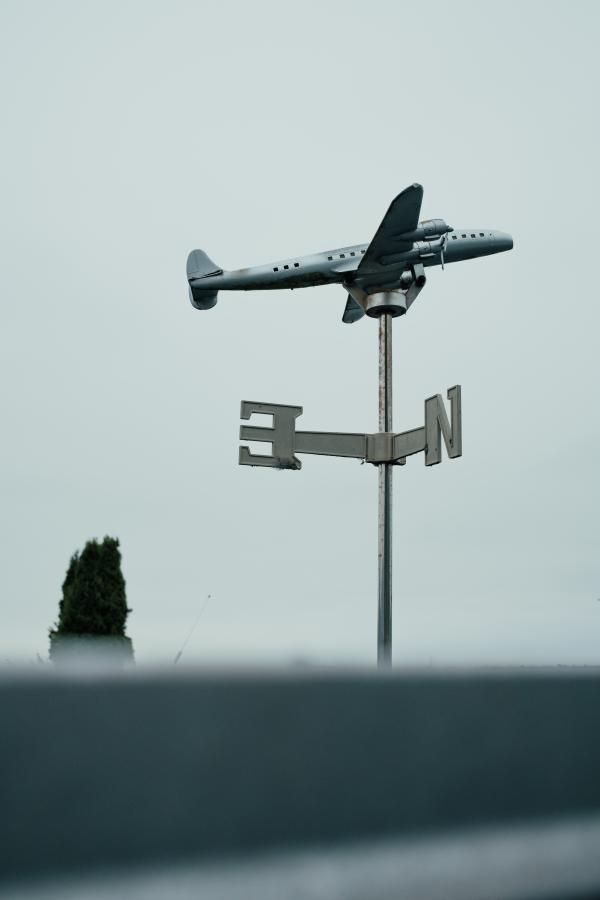 Flyvergrillen_Weather vane