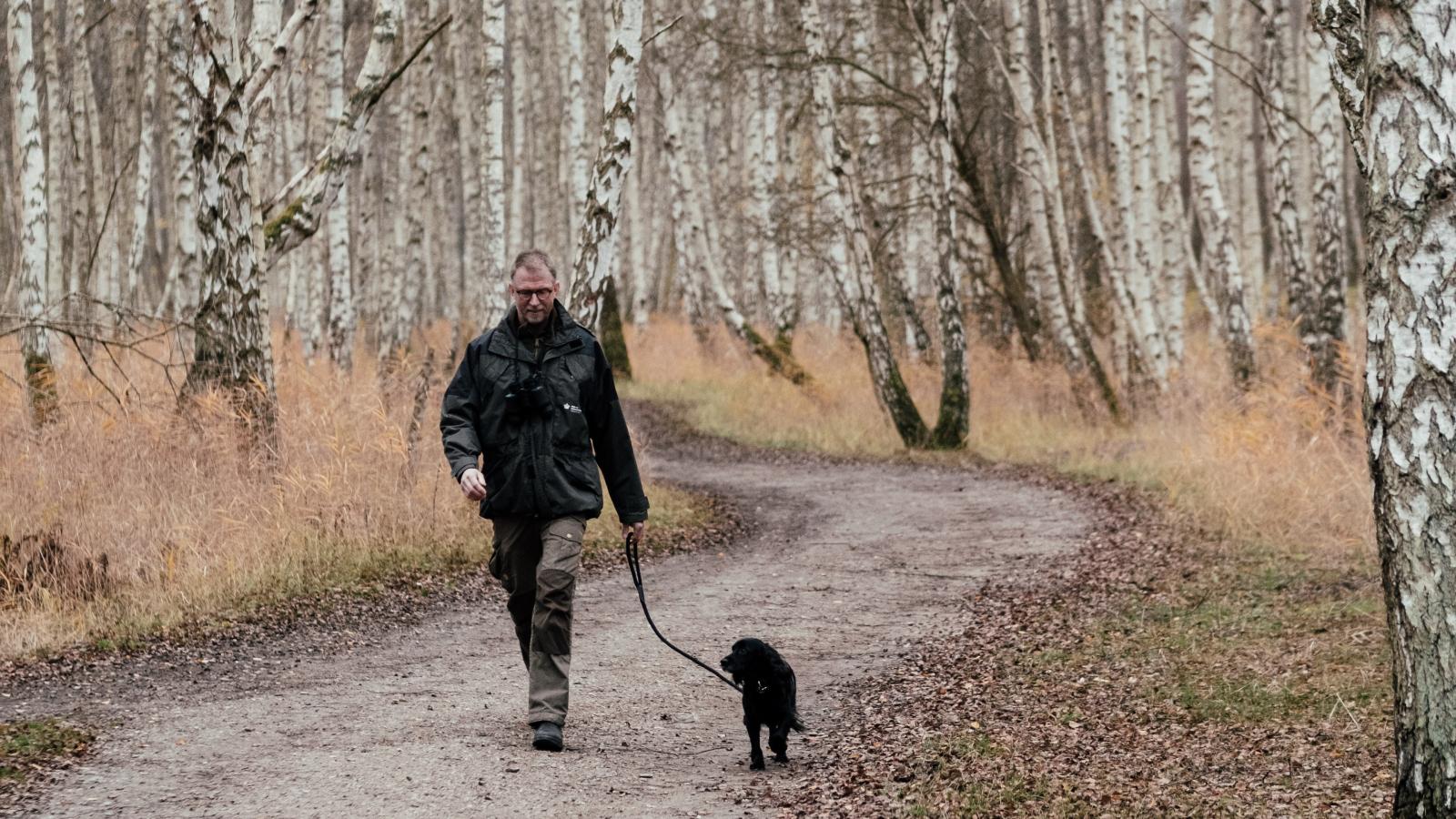 Amager Naturpark - Jes Aagaard