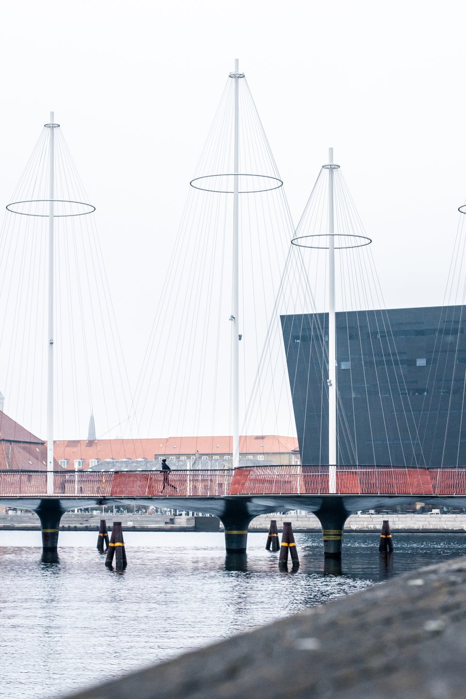 Running Copenhagen Harbour