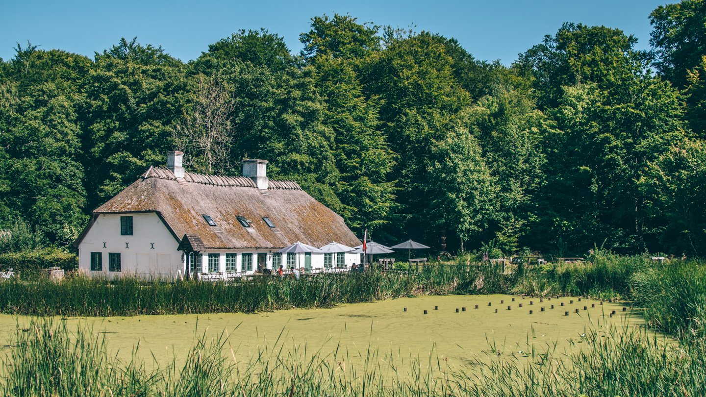 Hammermøllen i Hellebæk
