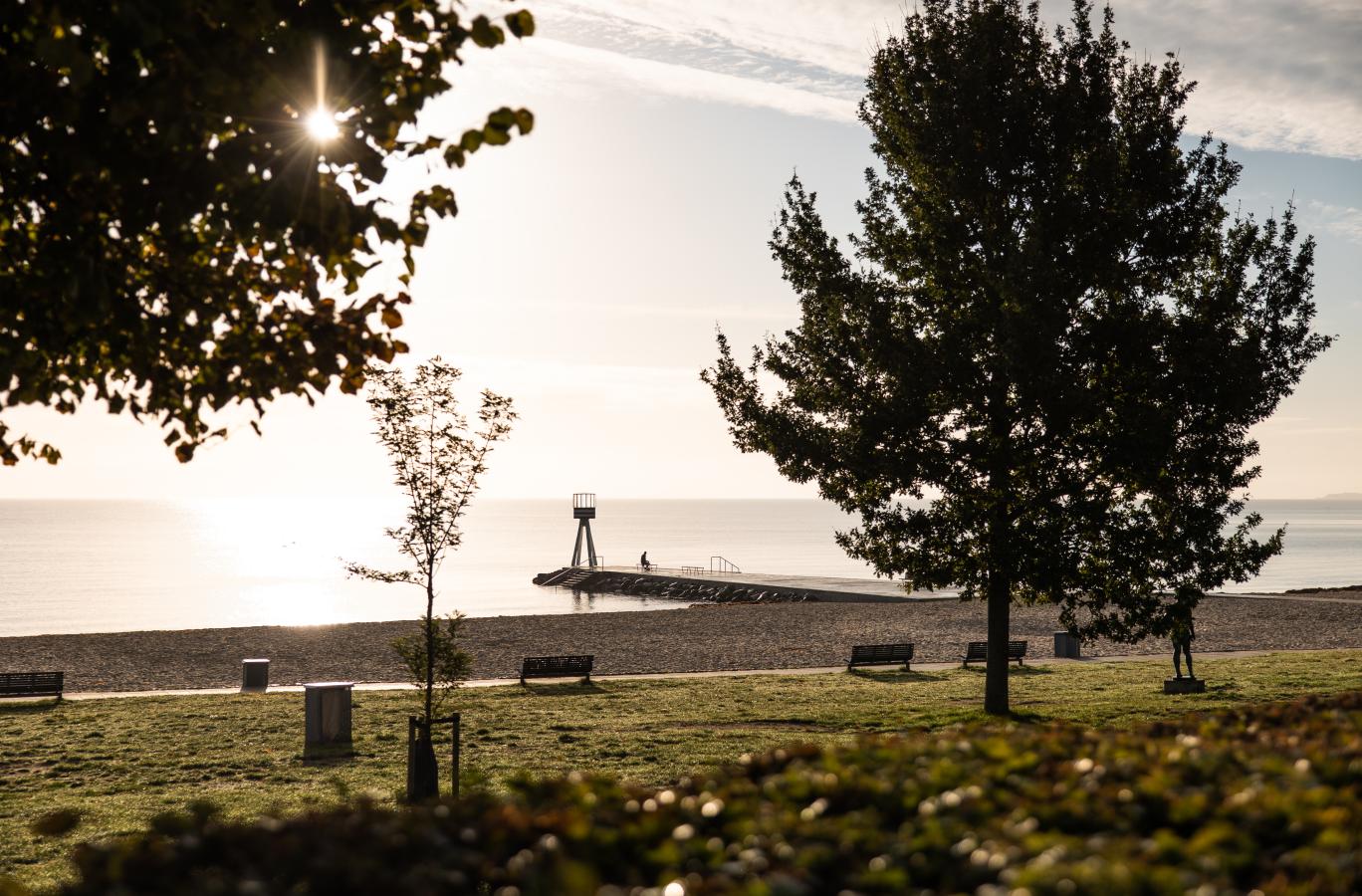 Bellevue beach in the morning