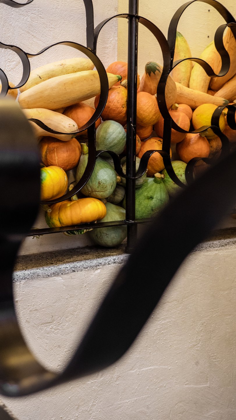 Baka d' Busk - Vegetarian Bistro