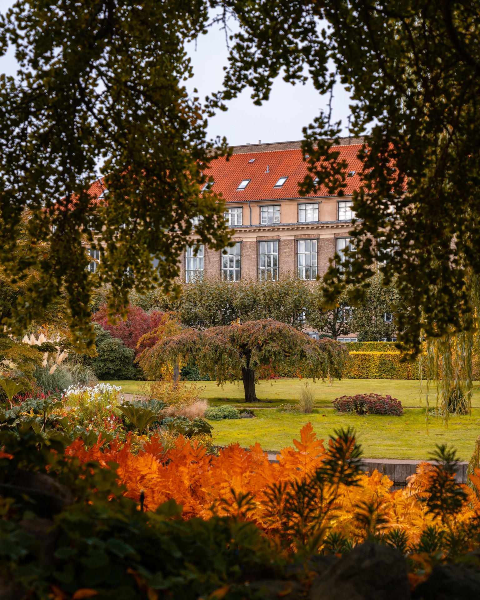 Landbohøjskolens have