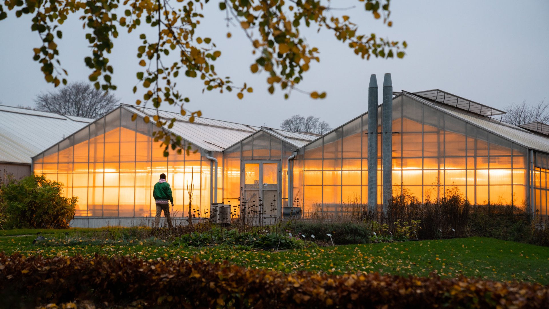 Landbohøjskolens have