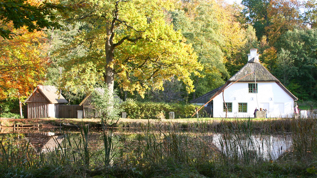 Hammermøllen efterår