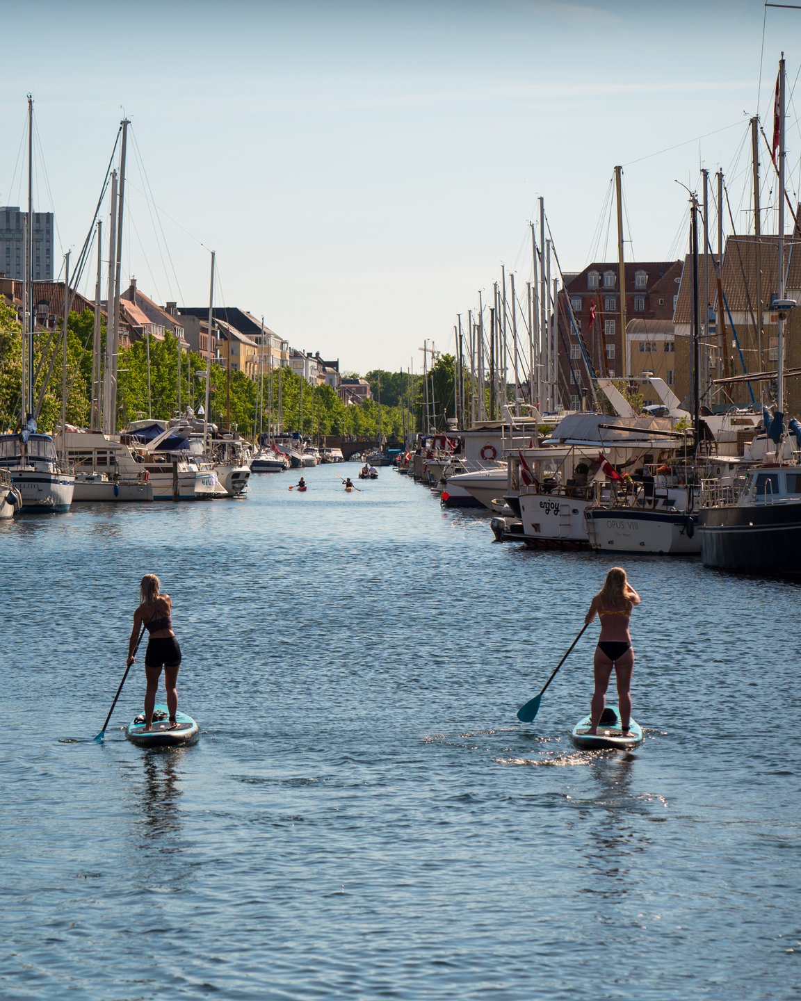 SUP in the canals of Copenhagen
