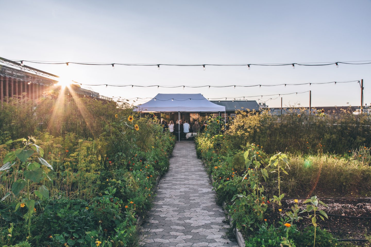 Tagterrasse