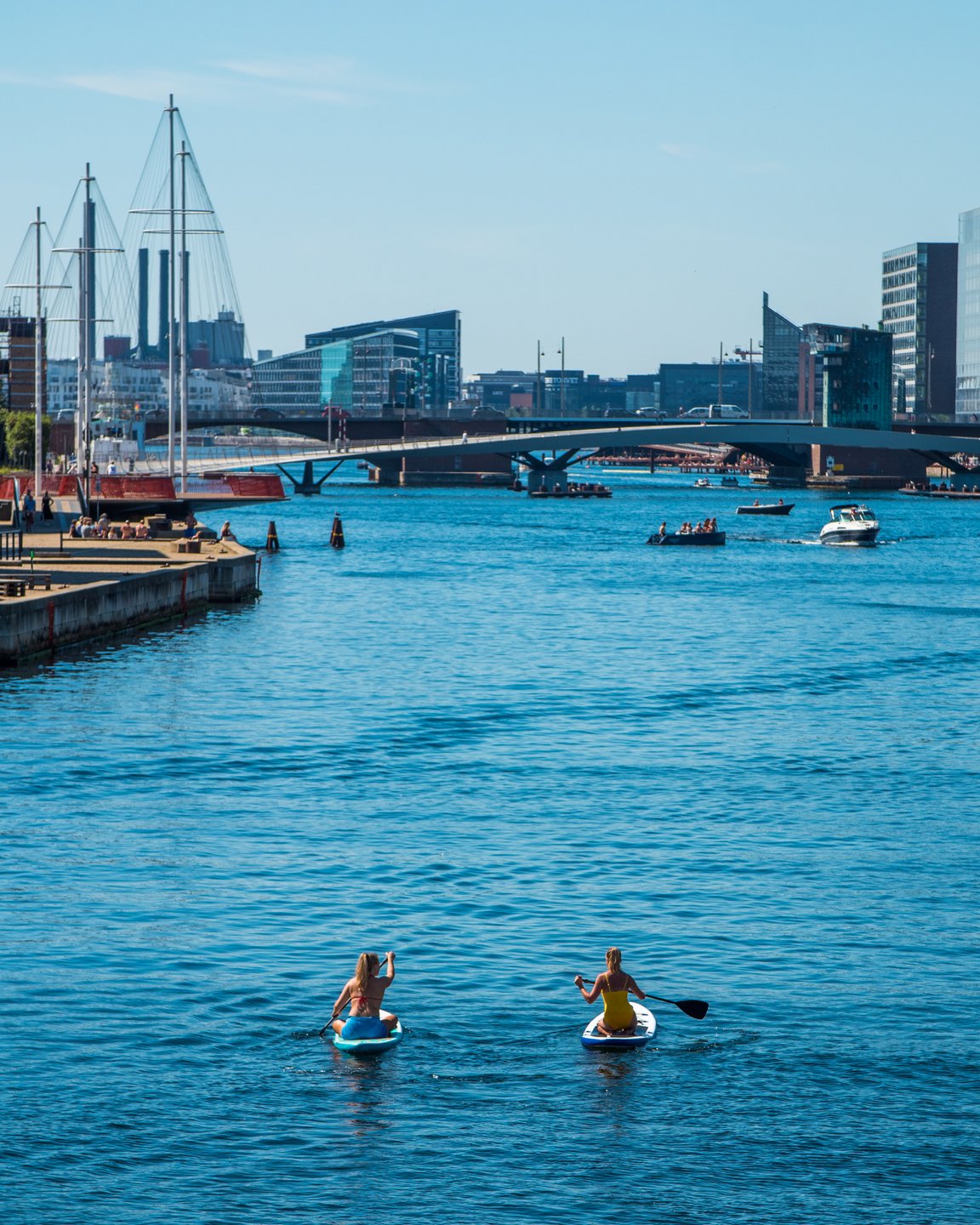 SUP in Copenhagen Canals
