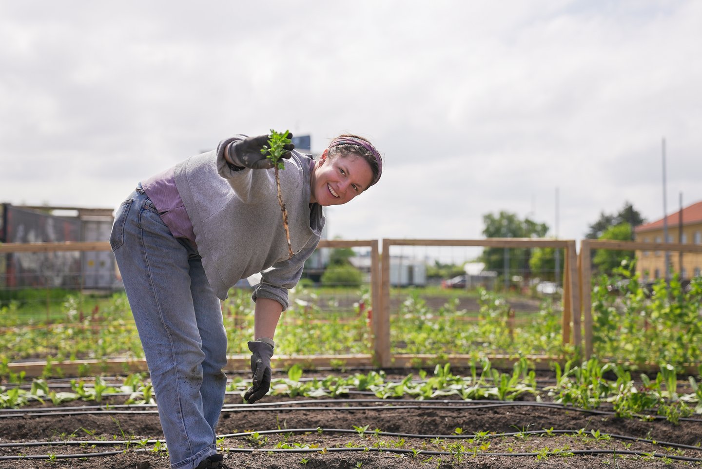 Copenpay - Øens Have