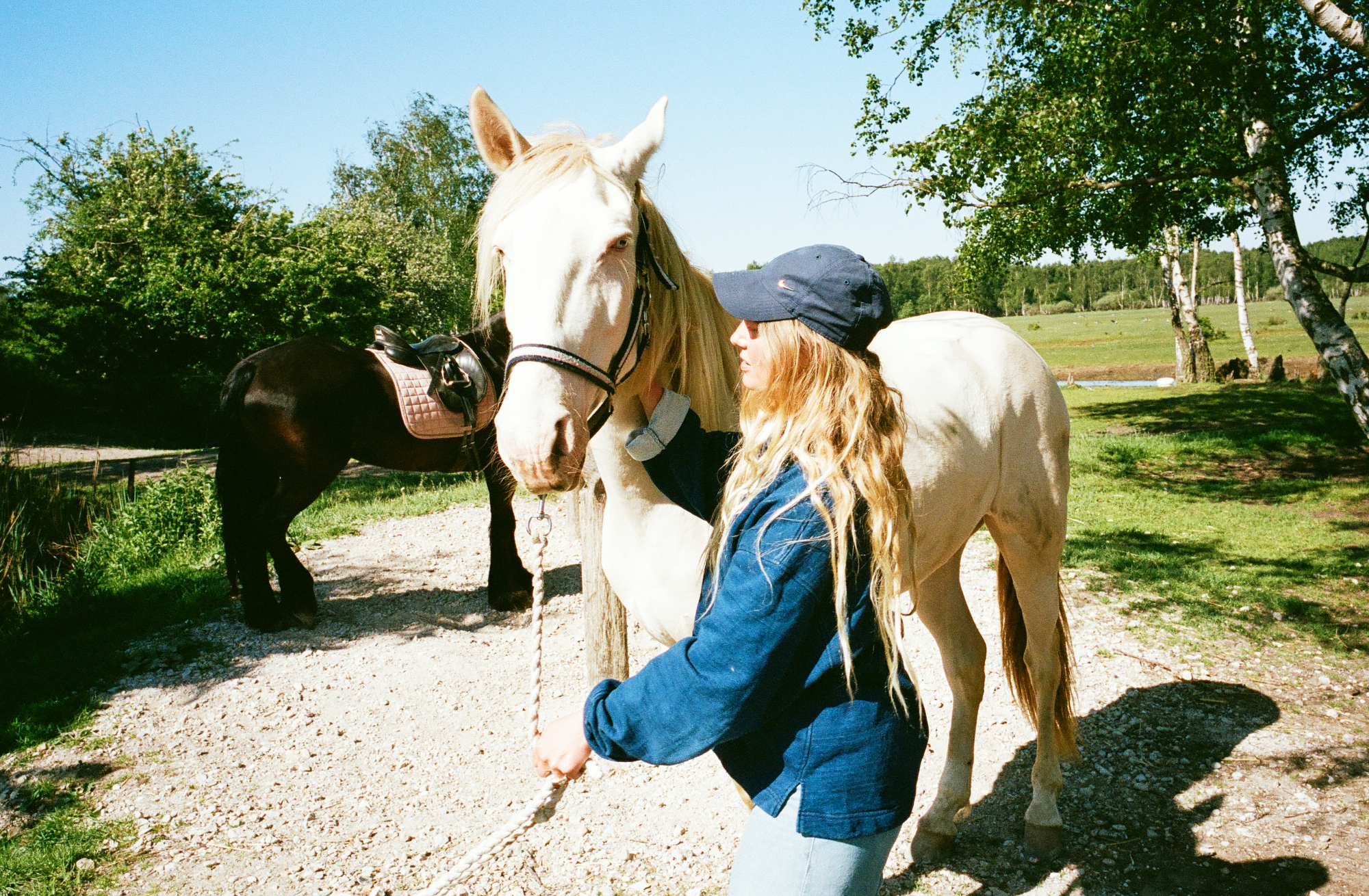 Beyond Bonnie Hvillum