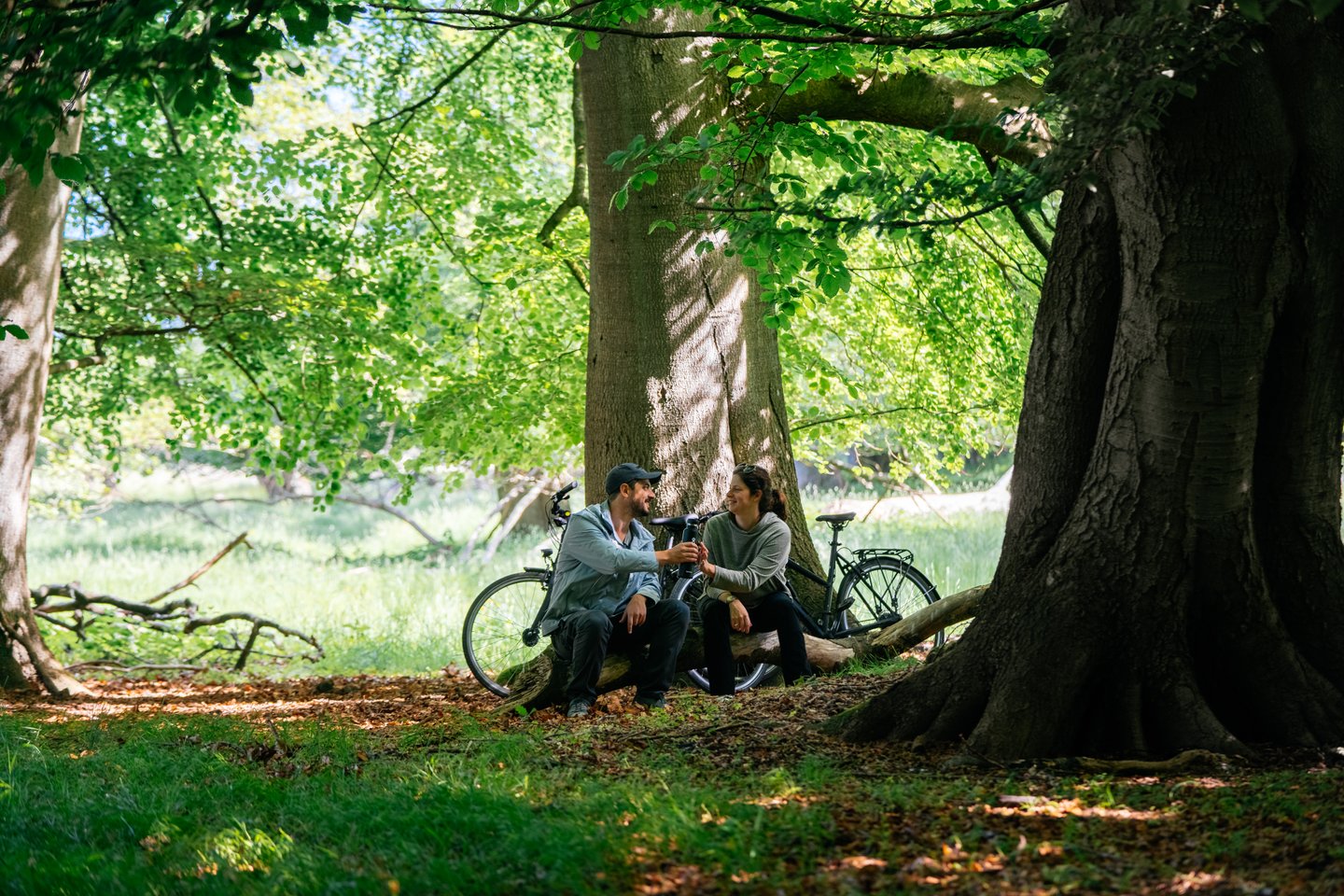 Picnic in the Deer Park