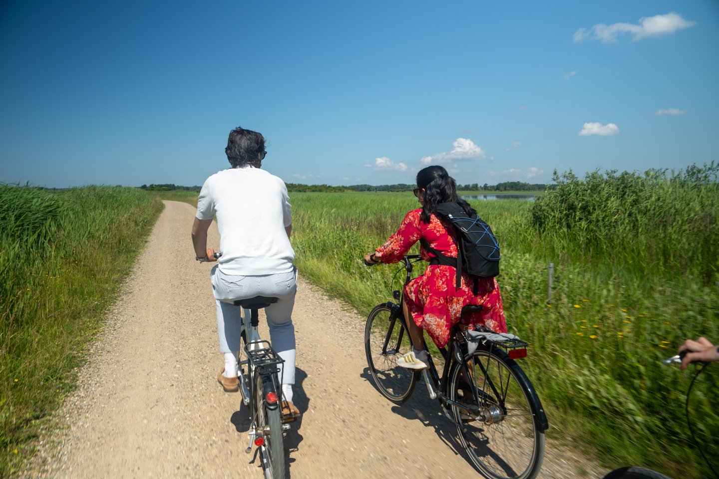 Podcast - Kalvebod Fælled