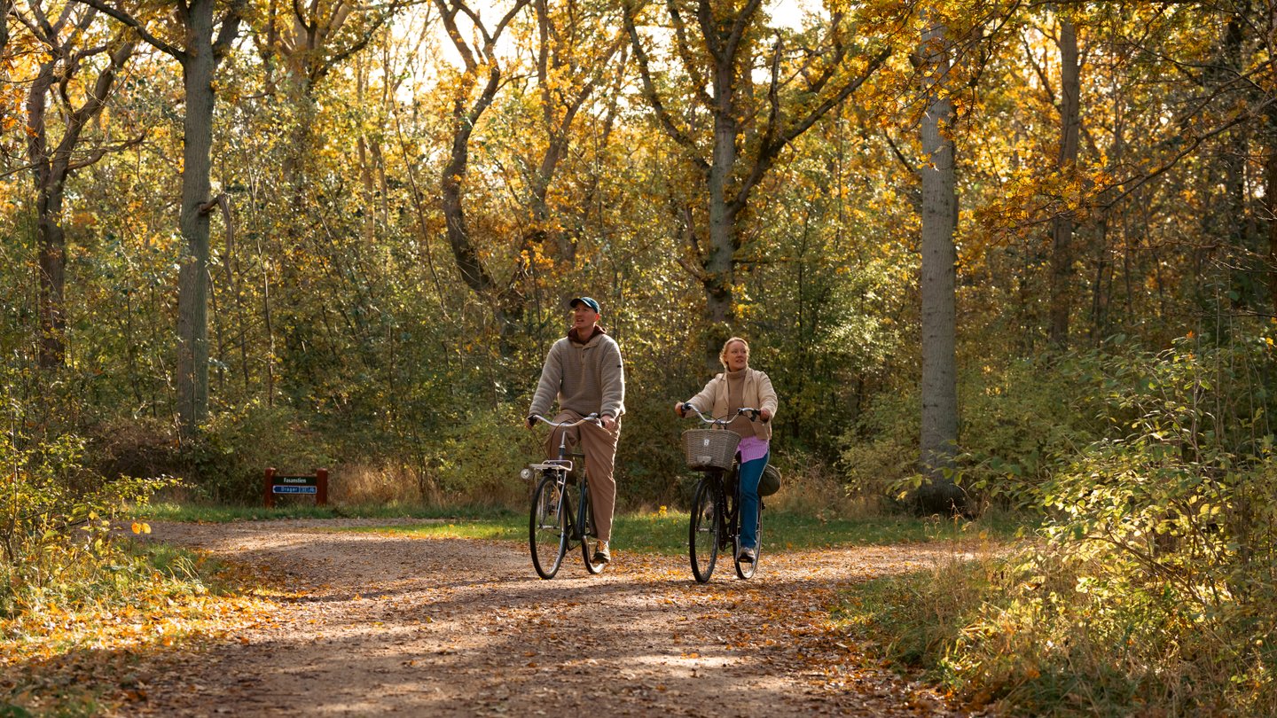 Cykel Helsingør