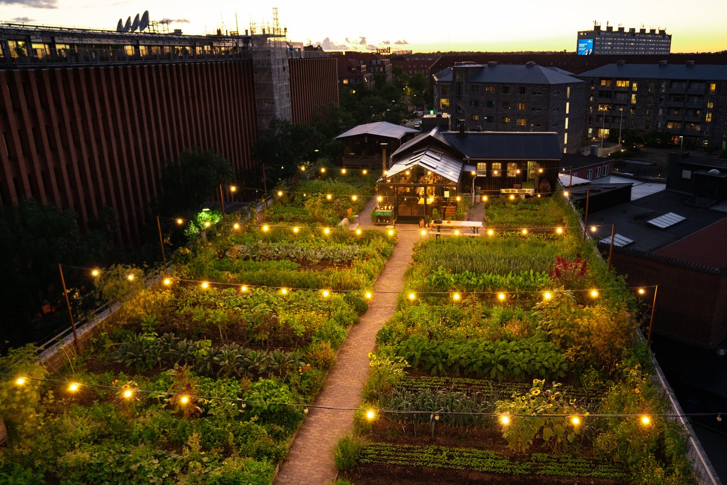 Østergro rooftop seen on a sunny evening