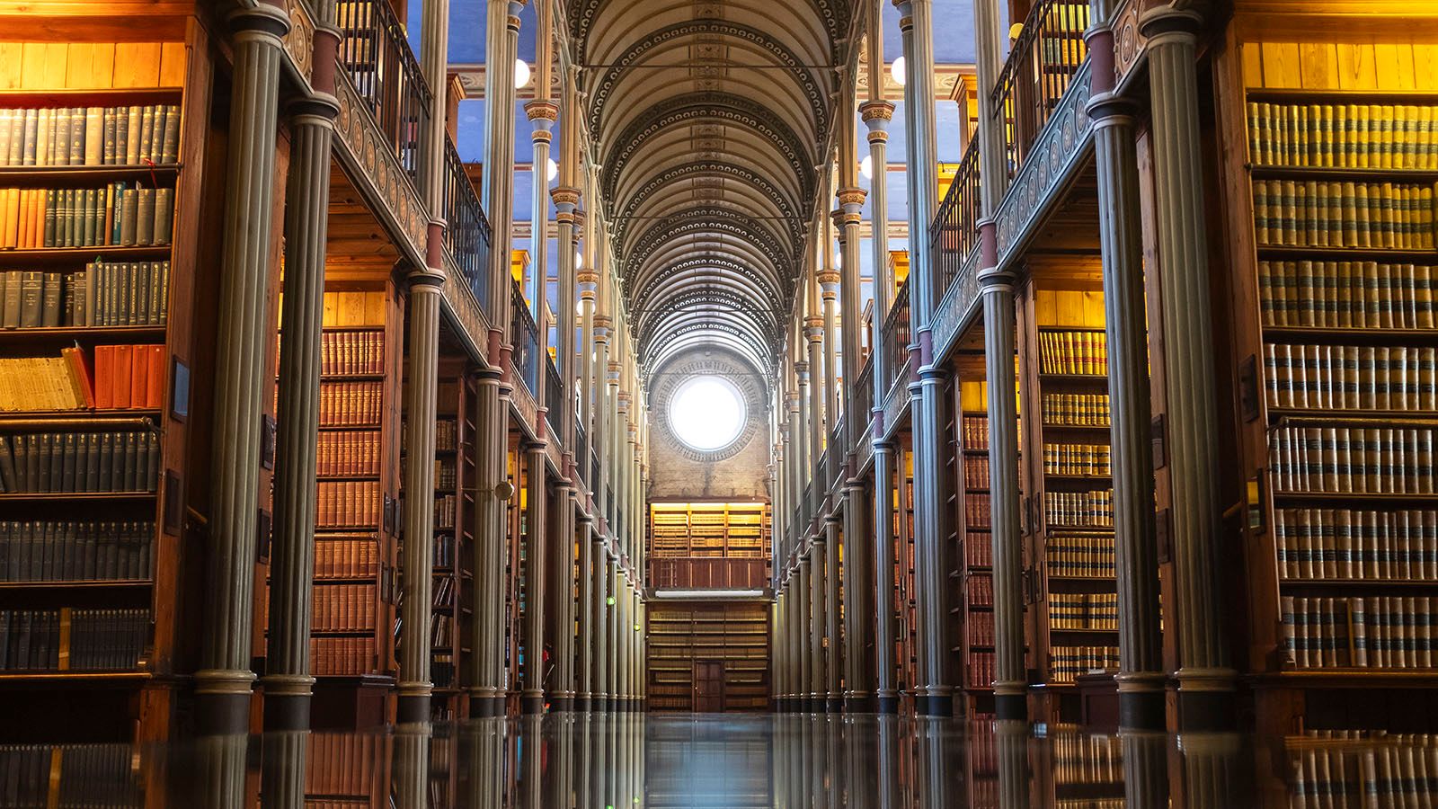 Københavns Universitet