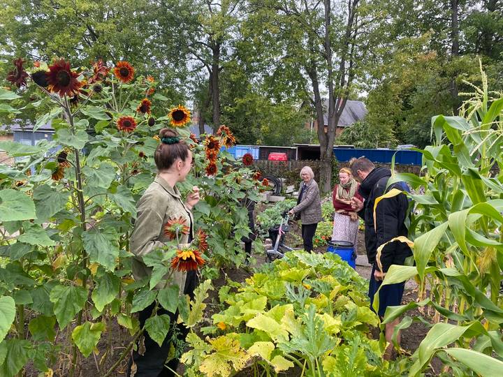 Det bæredygtige forsamlingshus