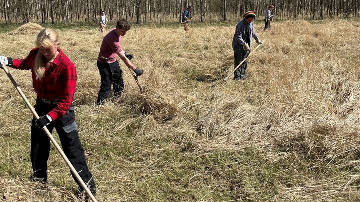 Traktørstedet Vestamager