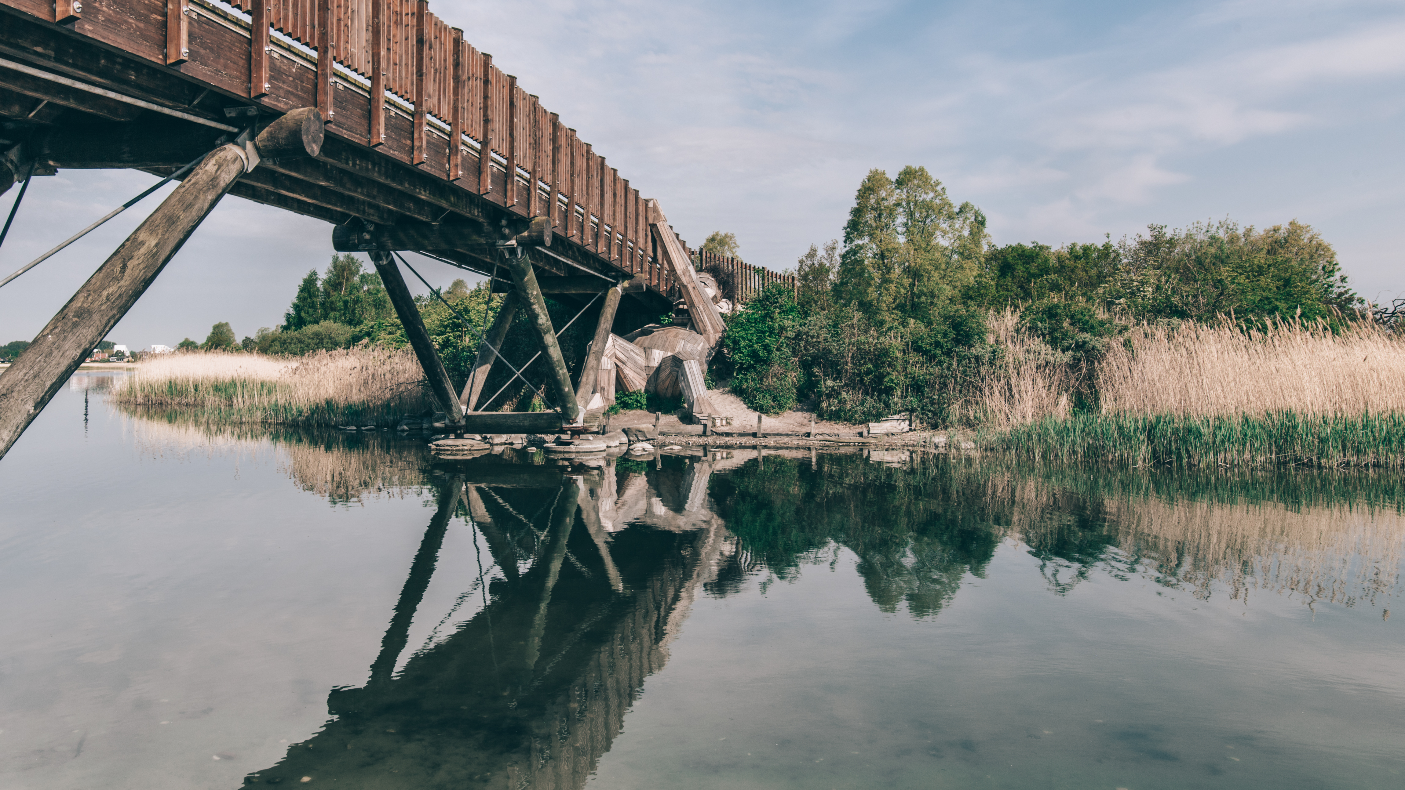 Oscar under the bridge