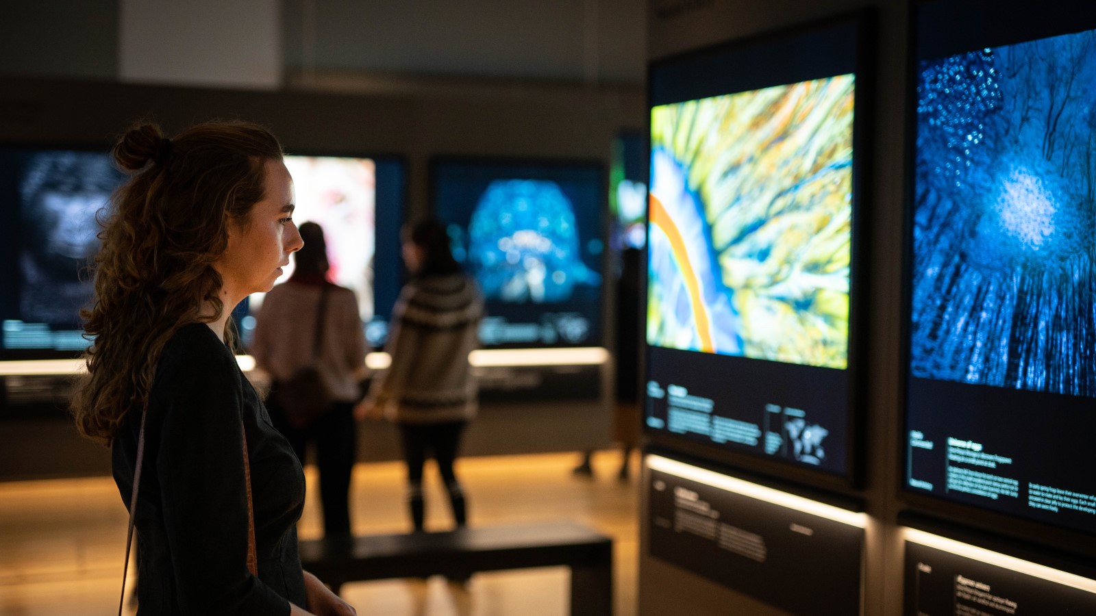 Statens Naturhistoriske Museum