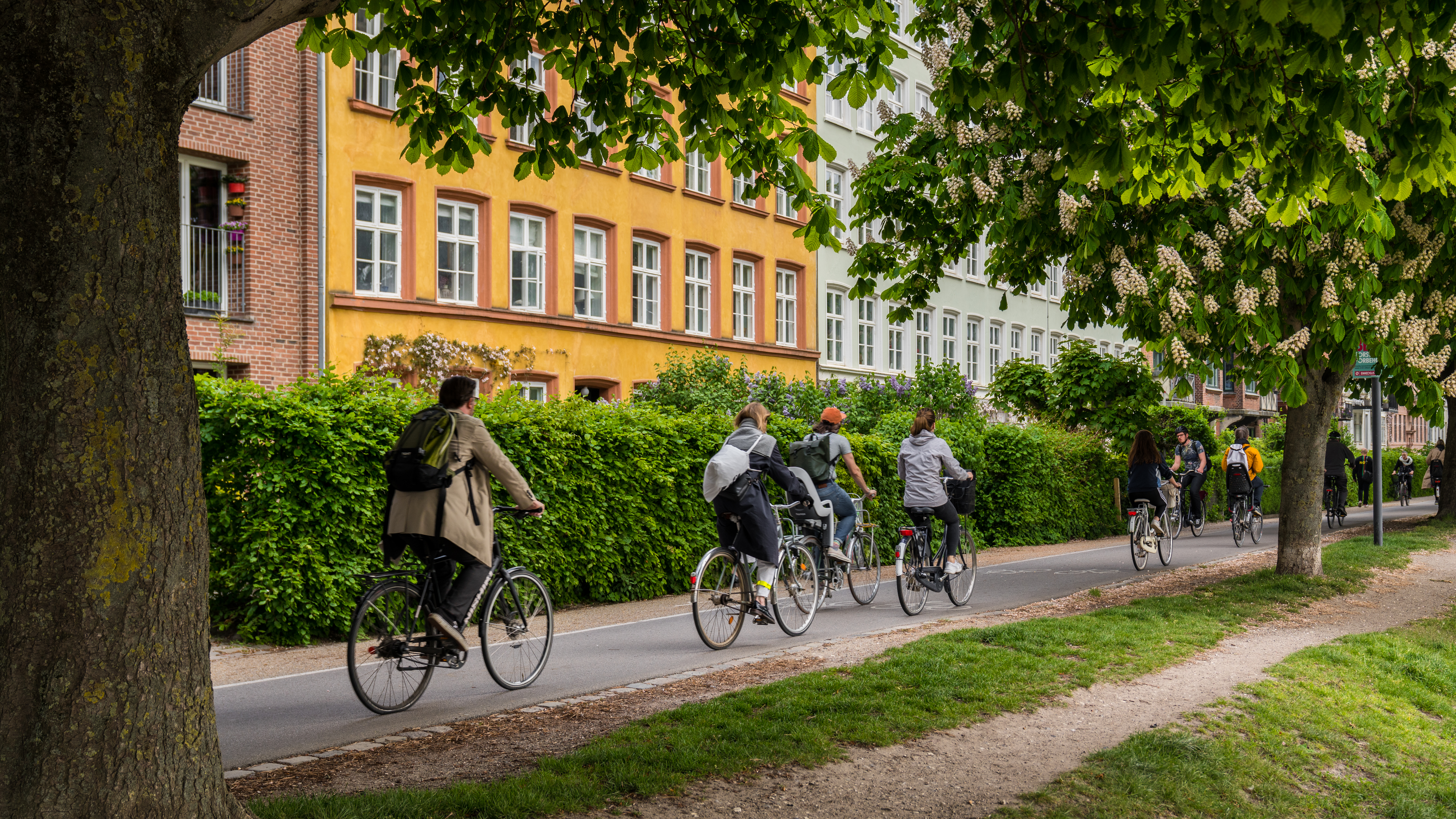 Cycling in Nørrebro