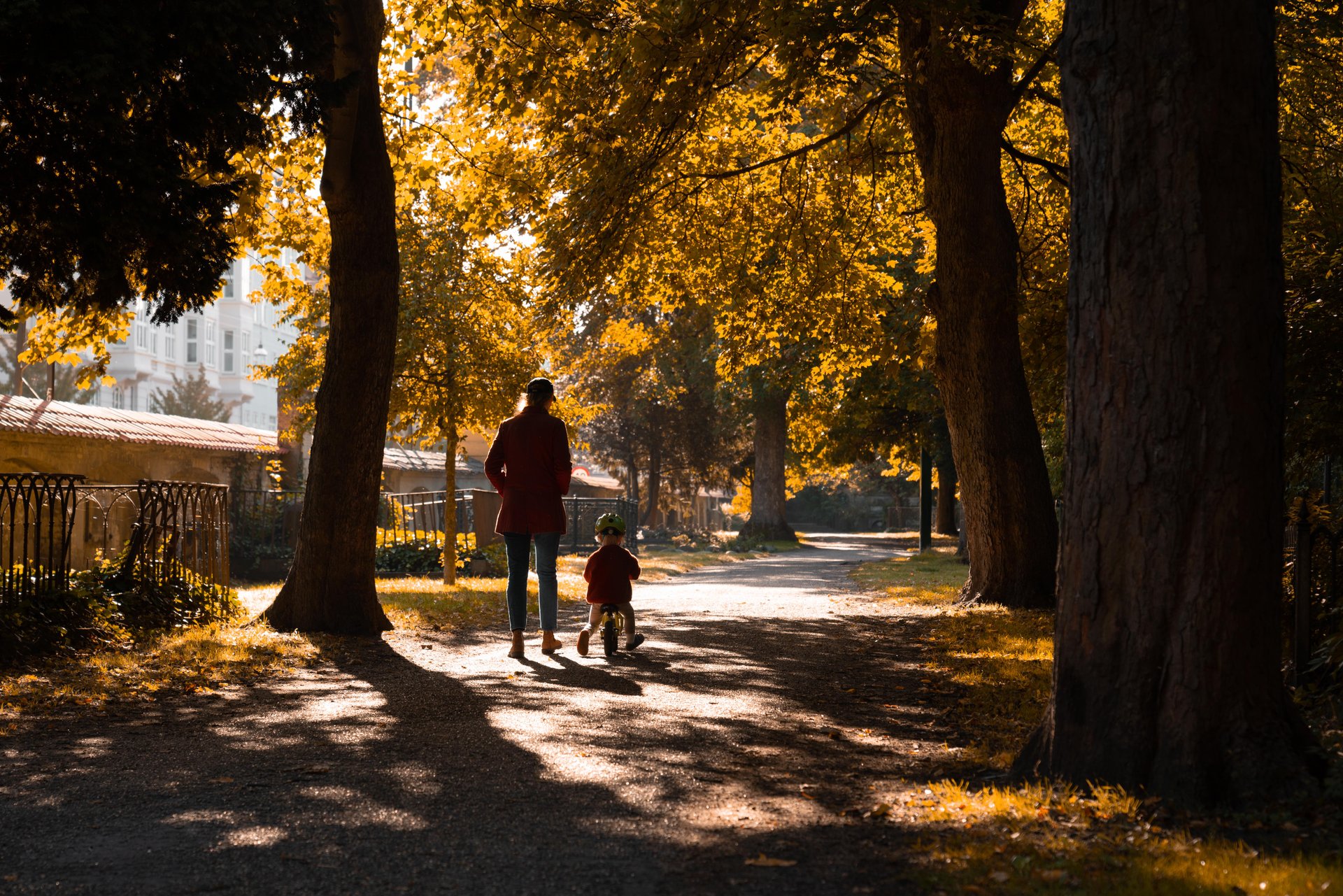 Autumn
