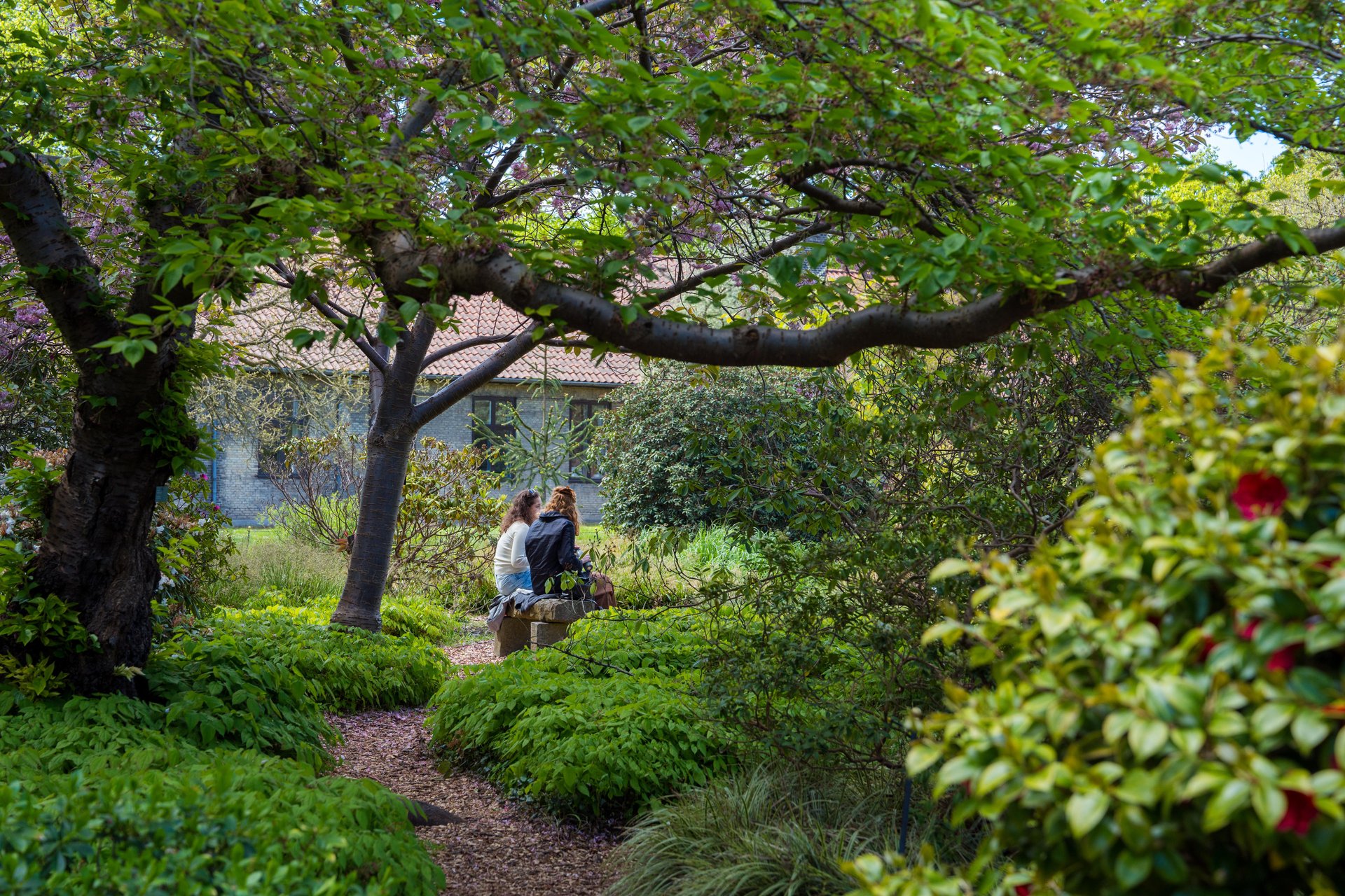 Lanbohøjskolens garden