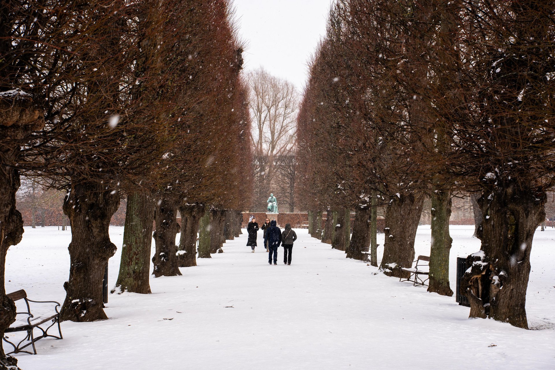 Kongens Have winter