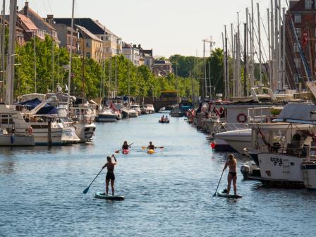 cludo:image