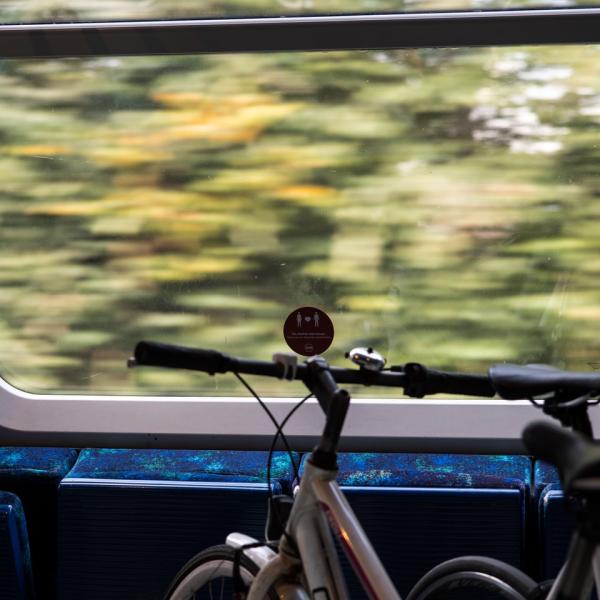 bike train 