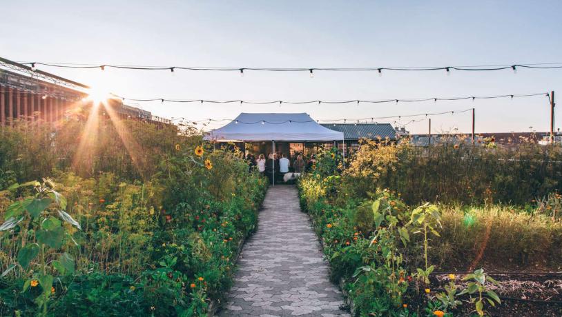 GRO Spiseri and rooftop farm in Østerbro