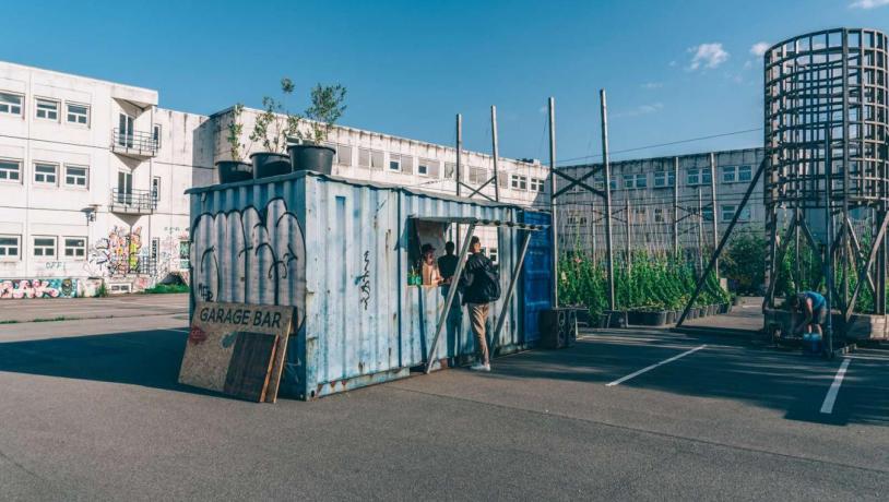 Local community hops farm in Copenhagen's Nordvest area