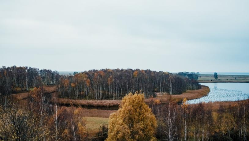 Overview of Amager Fællede