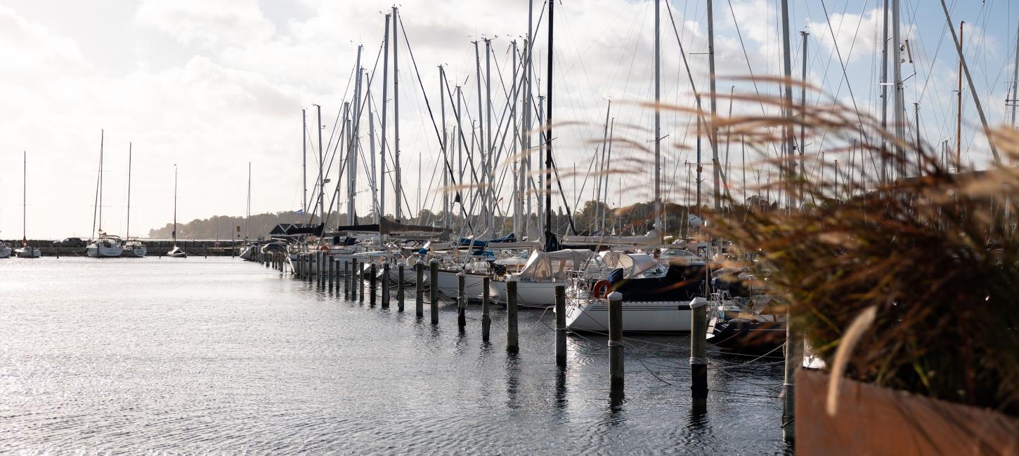 Sails boats - Rungsted havn