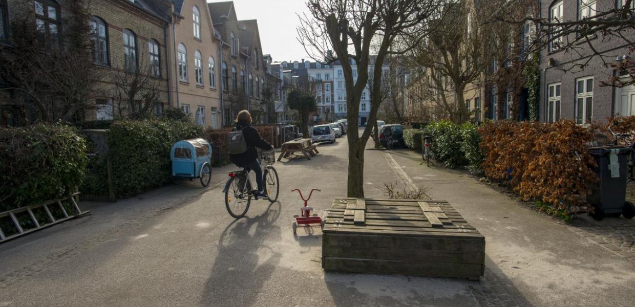 Narrowed lanes and planter boxes calm traffic by design.