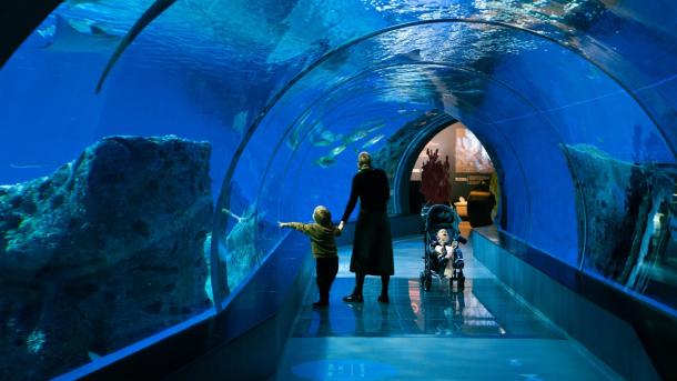 Family at The Blue Planet