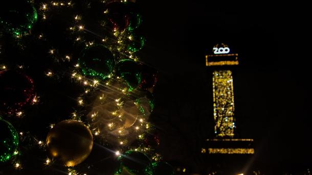 Christmas lights and the Copenhagen Zoo Tower at Zoo