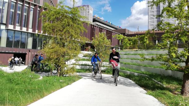 bike rental