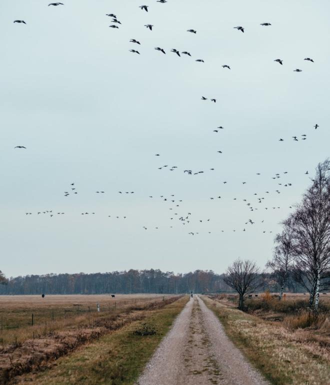 Amager Naturpark 