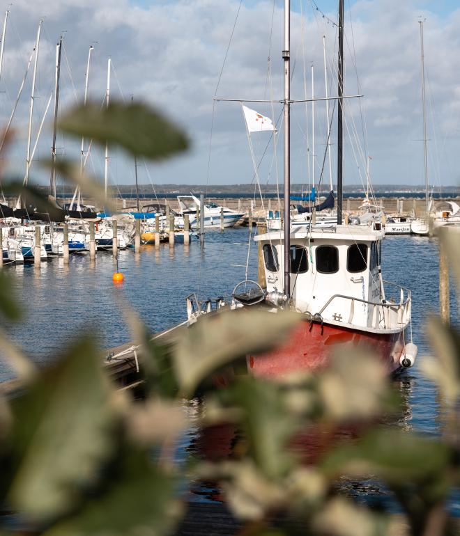 Rungsted havn