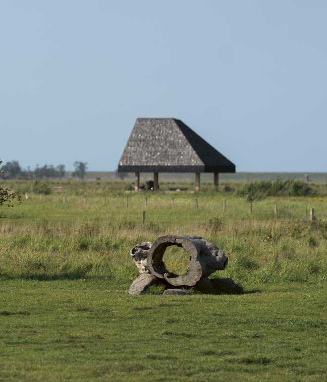 Naturpark Amager