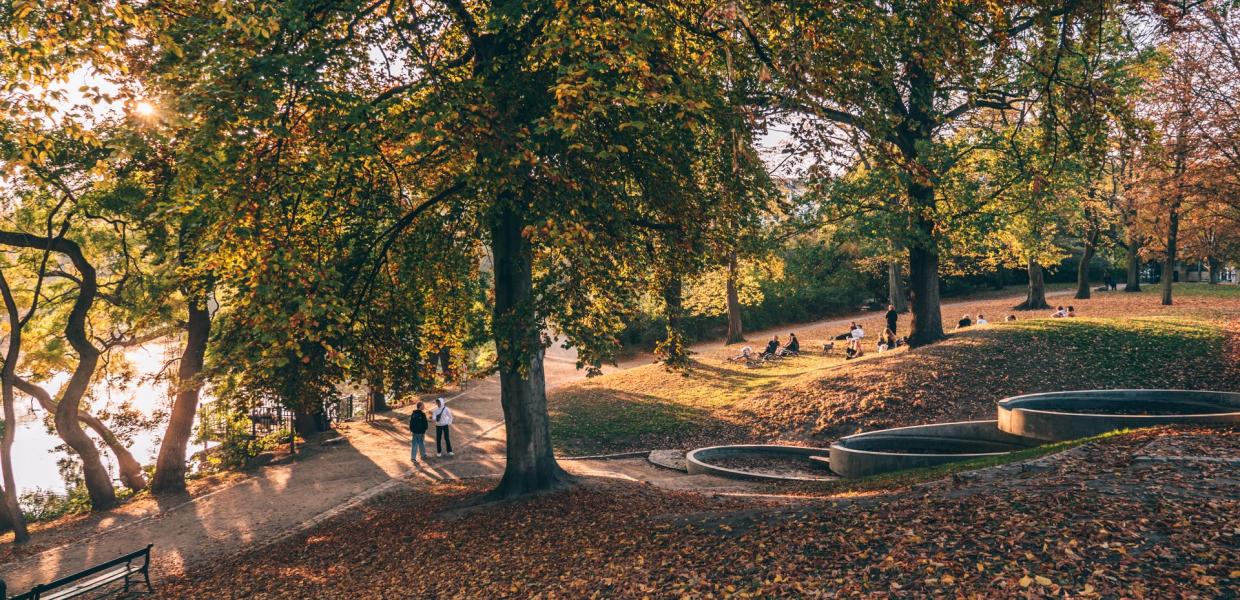 Ørstedsparken efterår